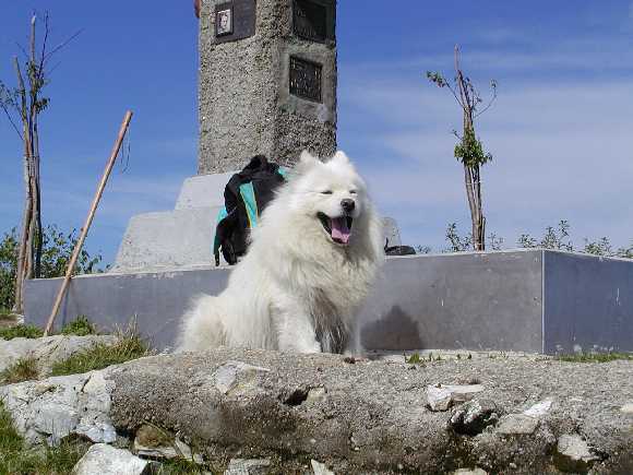 Lista delle foto